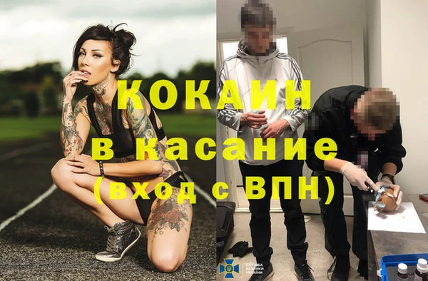 дживик Алексин